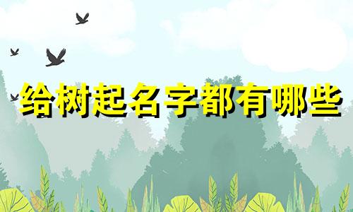 给树起名字都有哪些