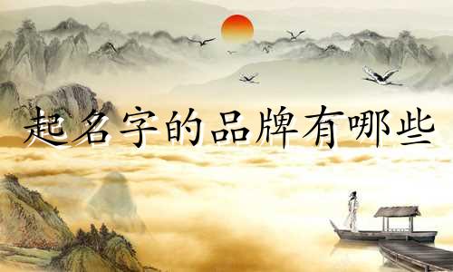 起名字的品牌有哪些