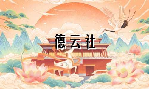 德云社 起名字的人有哪些