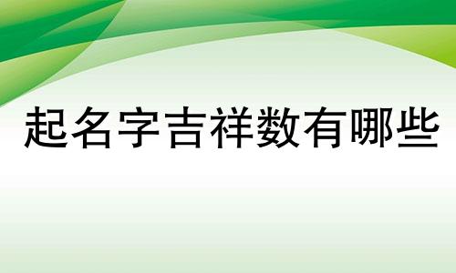 起名字吉祥数有哪些