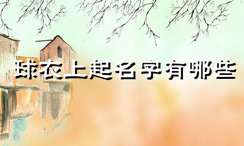 球衣上起名字有哪些