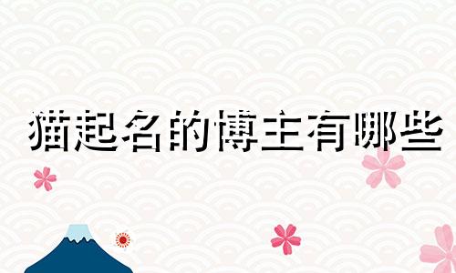 猫起名的博主有哪些