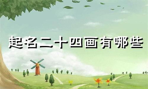 起名二十四画有哪些
