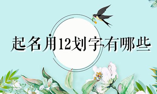 起名用12划字有哪些