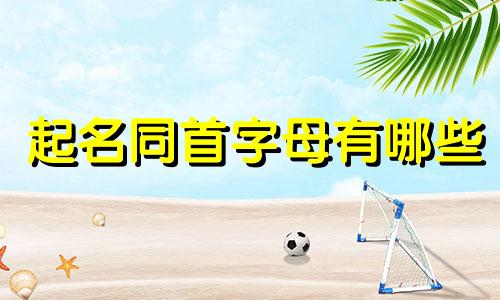 起名同首字母有哪些