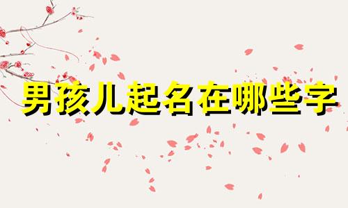 男孩儿起名在哪些字