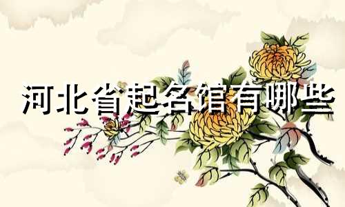 河北省起名馆有哪些