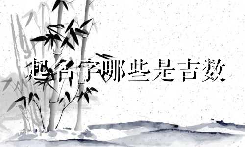 起名字哪些是吉数