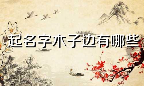 起名字木子边有哪些