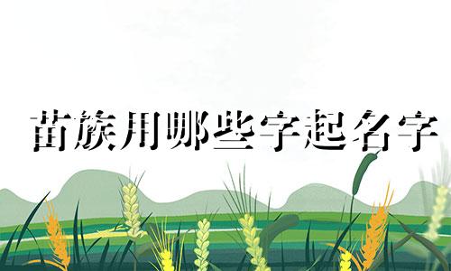 苗族用哪些字起名字