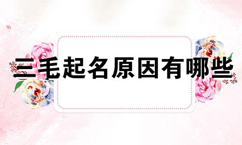 三毛起名原因有哪些