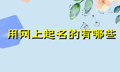 用网上起名的有哪些