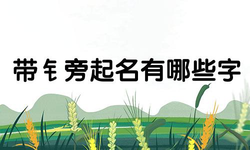 带钅旁起名有哪些字