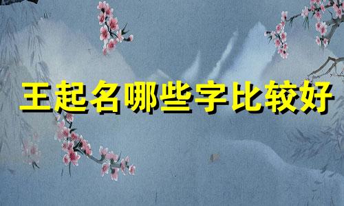 王起名哪些字比较好