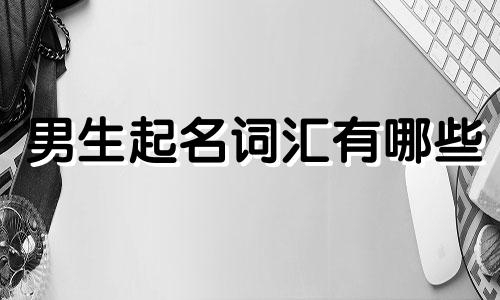 男生起名词汇有哪些