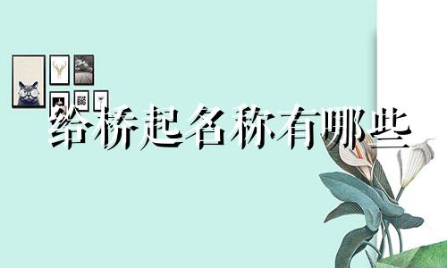 给桥起名称有哪些