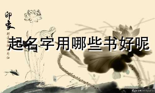 起名字用哪些书好呢