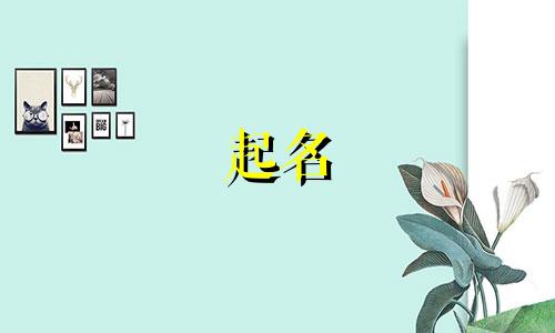 起名 画的吉字有哪些
