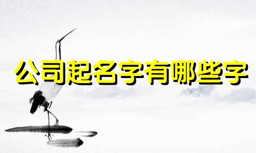 公司起名字有哪些字