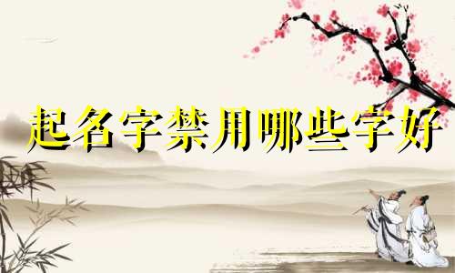 起名字禁用哪些字好