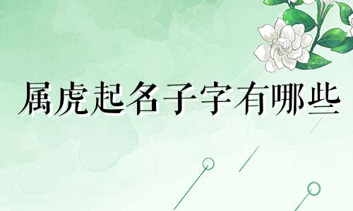 属虎起名子字有哪些