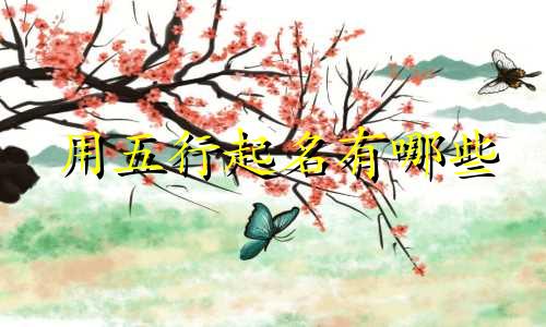 用五行起名有哪些