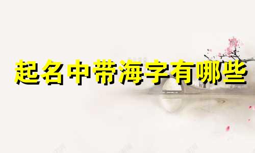 起名中带海字有哪些