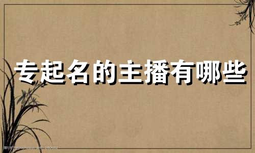 专起名的主播有哪些