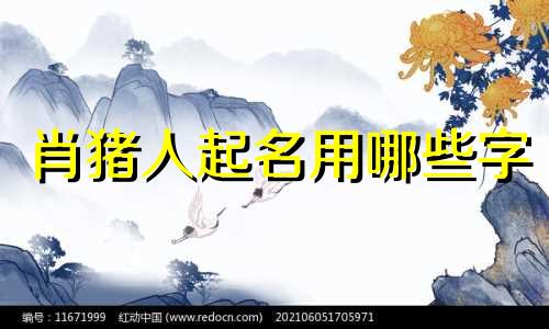 肖猪人起名用哪些字