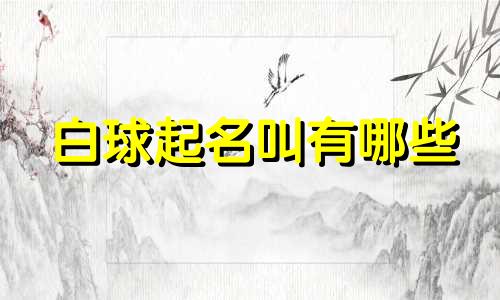 白球起名叫有哪些
