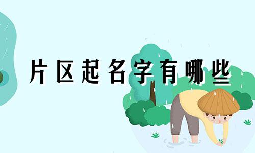 片区起名字有哪些