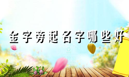 金字旁起名字哪些好
