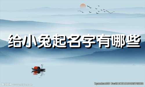 给小兔起名字有哪些