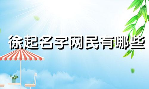 徐起名字网民有哪些