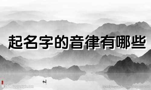 起名字的音律有哪些