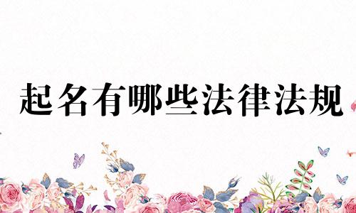 起名有哪些法律法规