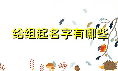 给组起名字有哪些