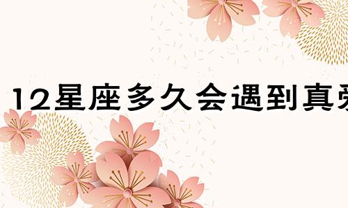 12星座多久会遇到真爱