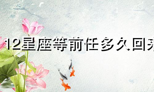 12星座等前任多久回来