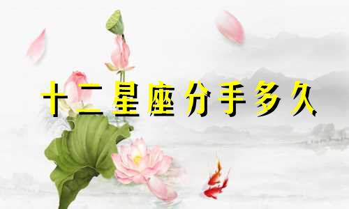 十二星座分手多久