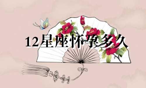12星座怀孕多久