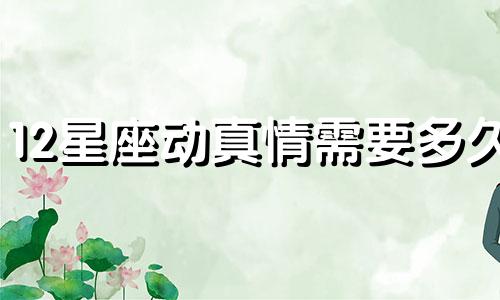 12星座动真情需要多久