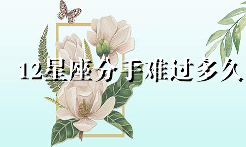 12星座分手难过多久