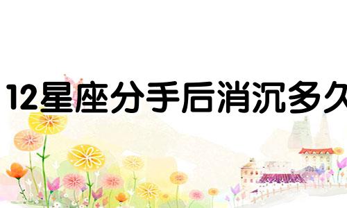 12星座分手后消沉多久