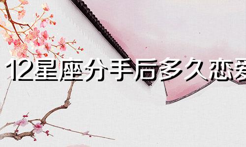 12星座分手后多久恋爱