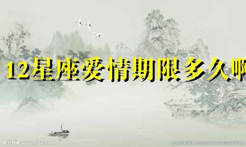 12星座爱情期限多久啊