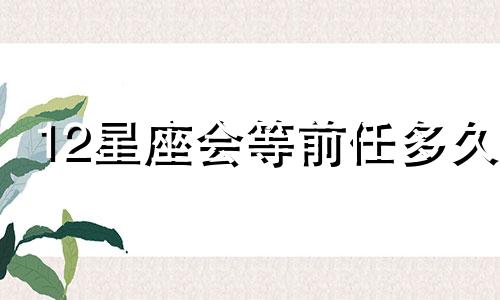 12星座会等前任多久
