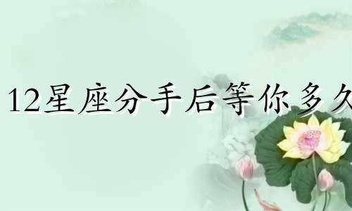 12星座分手后等你多久