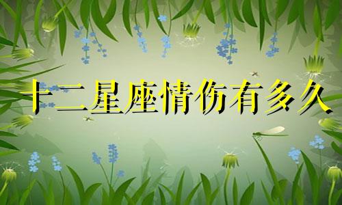 十二星座情伤有多久