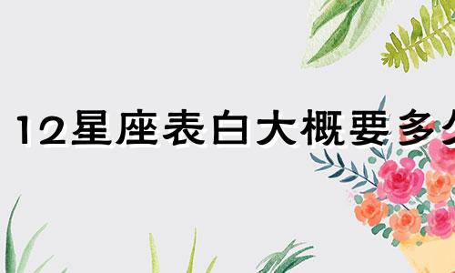 12星座表白大概要多久